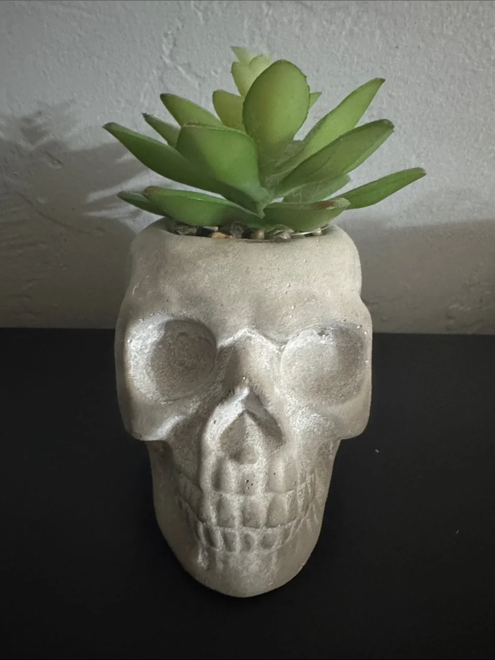 Gray Skull Planter with Green Faux Succulent